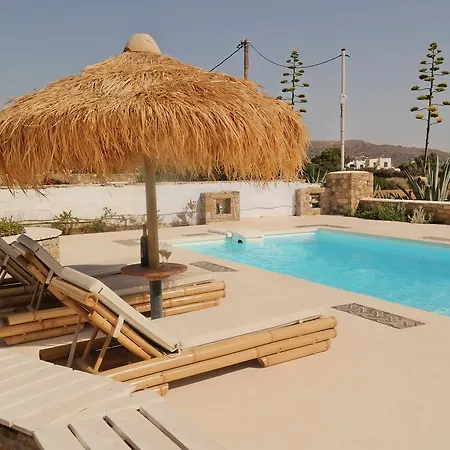 Vila Mozaik