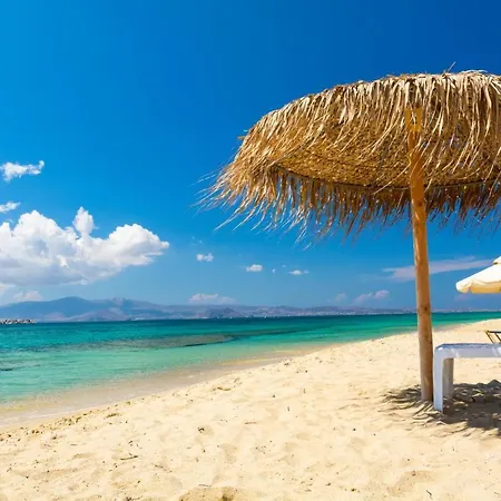 Mozaik Plaka (Naxos)
